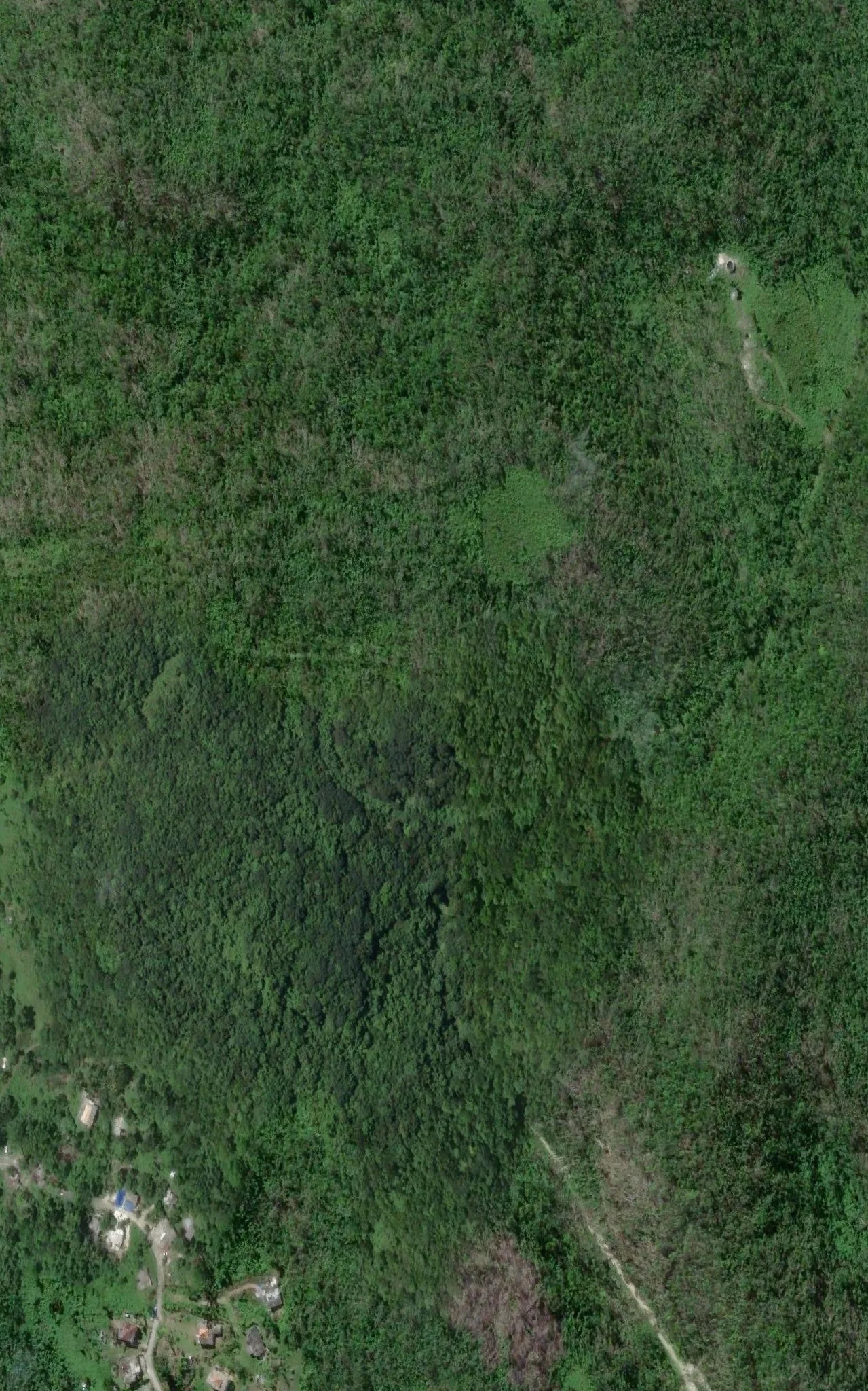 Belmont satellite site map — Mount Pleasant, St. James, Jamaica